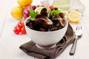 seafoodspec