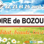 foire-de-bozouls-300x201